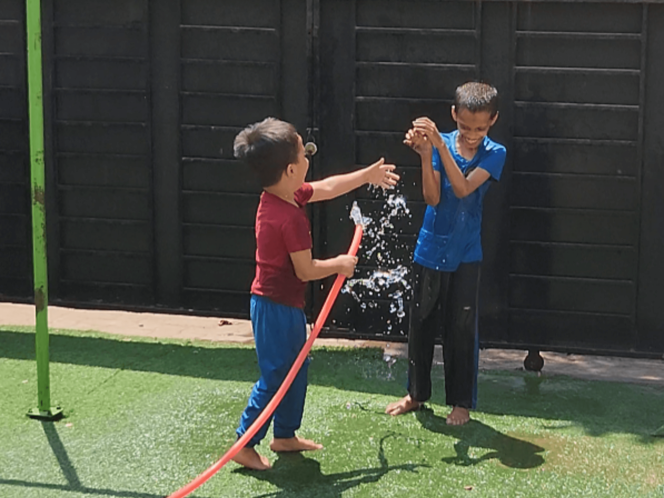 Holi Celebration Image 10