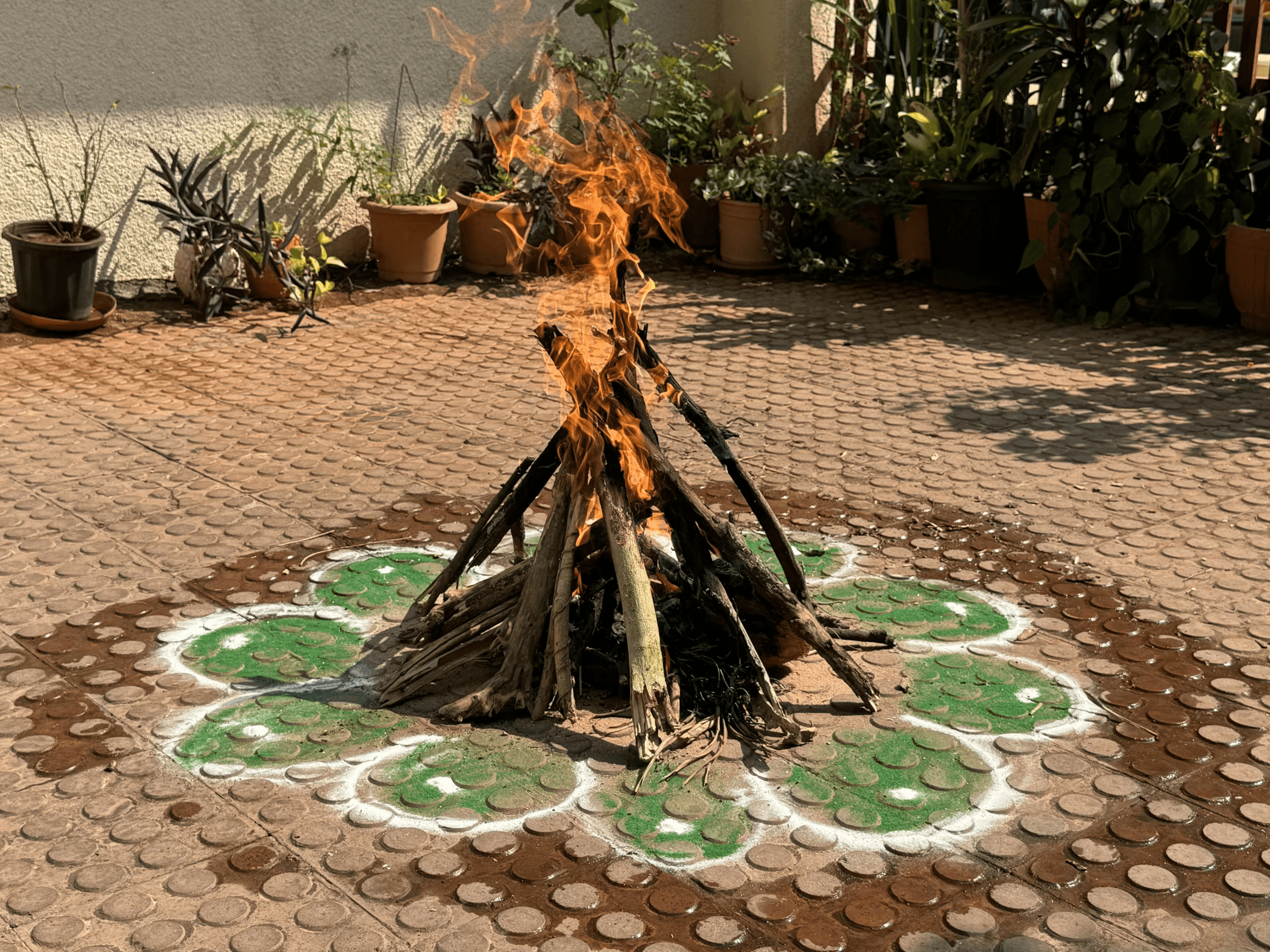 Holi Celebration Image 1